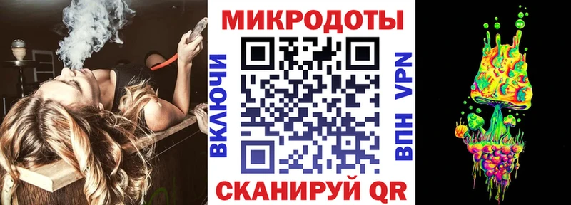 Галлюциногенные грибы Psilocybine cubensis  Приозерск 